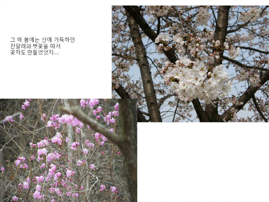 슬라이드8 - 복사본 - 복사본 (2).jpg