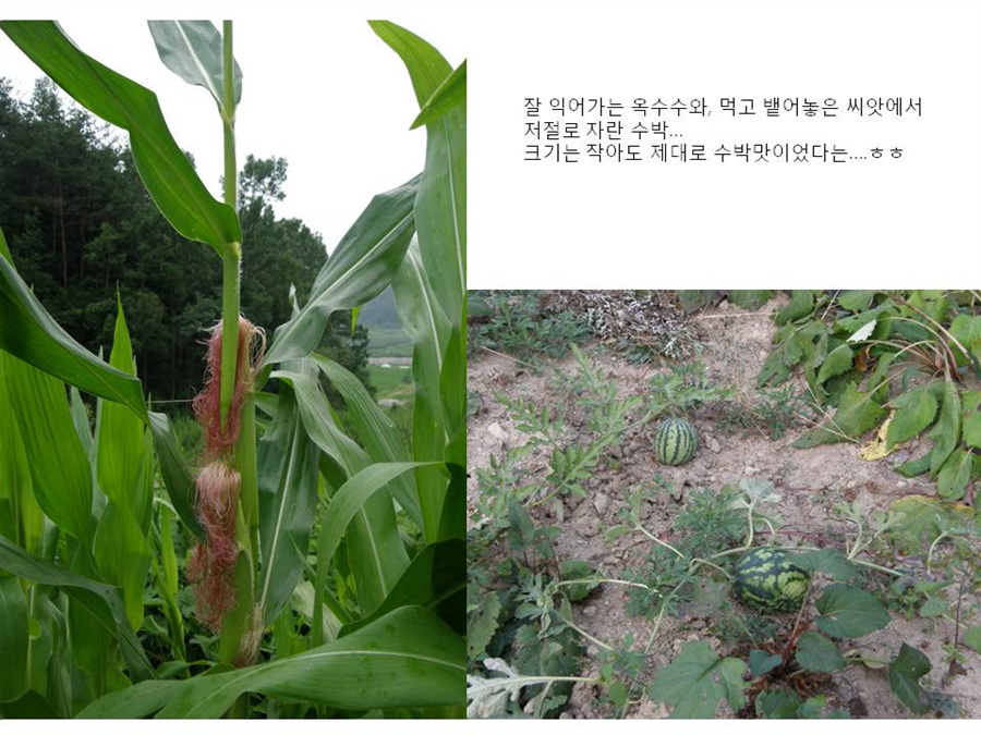 슬라이드11.jpg