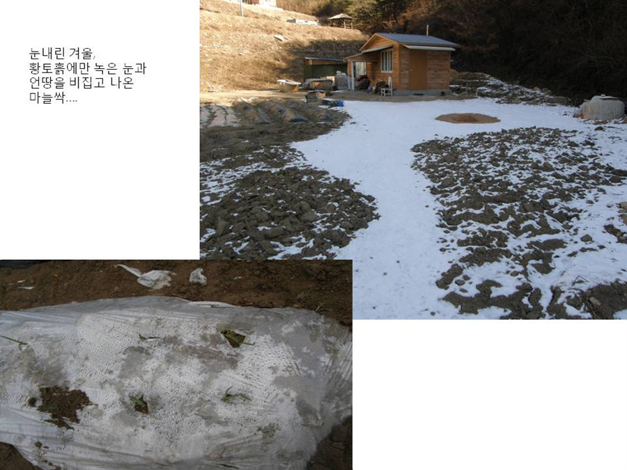 슬라이드19.jpg