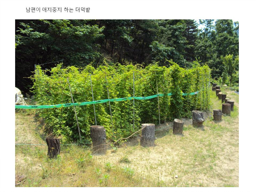 슬라이드21.jpg