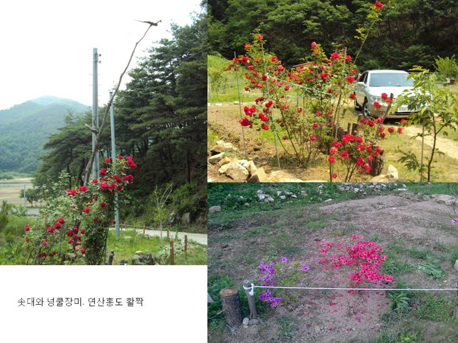 슬라이드27.jpg