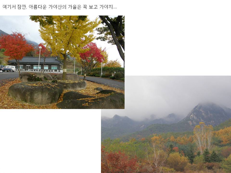 슬라이드17.jpg