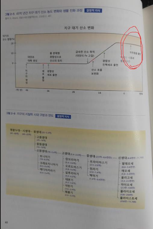 2019-03-11 18;46;17.JPEG