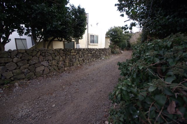 IMGP8195.JPG