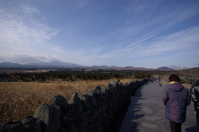 IMGP8048.JPG