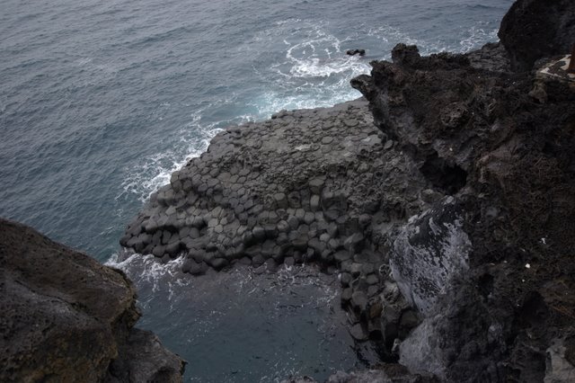IMGP8205.JPG