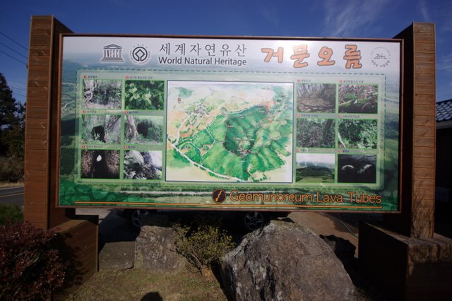IMGP8088.JPG