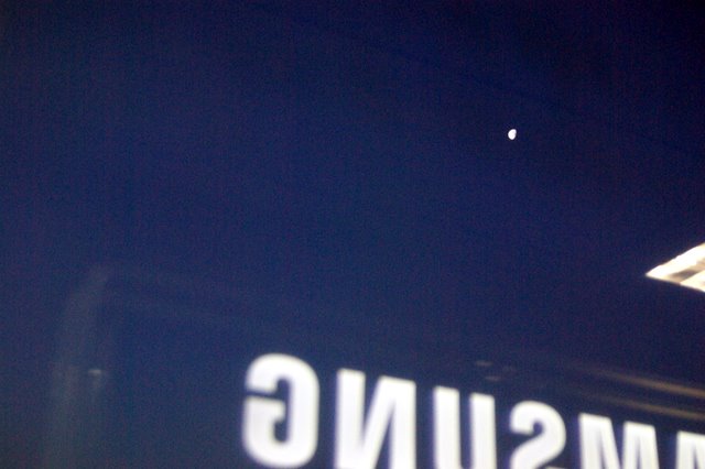 IMGP7875.JPG