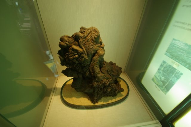 IMGP7932.JPG