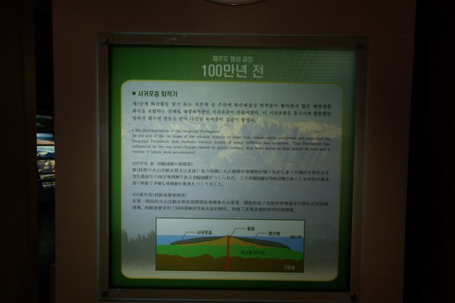 IMGP7939.JPG