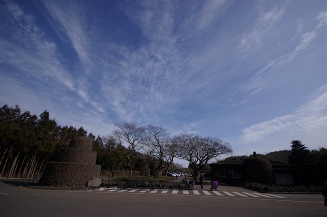 IMGP8076.JPG