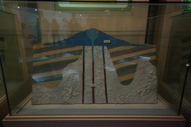 IMGP7940.JPG