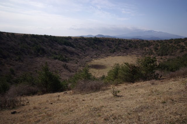 IMGP8116.JPG