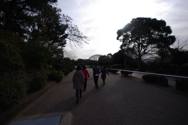 IMGP7921.JPG