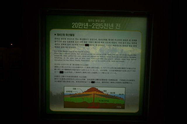 IMGP7945.JPG