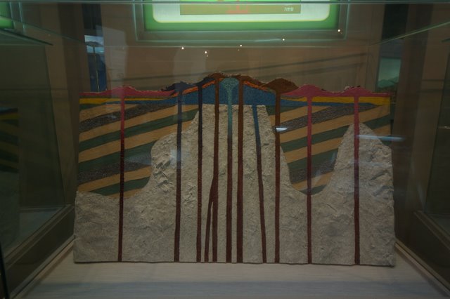 IMGP7944.JPG