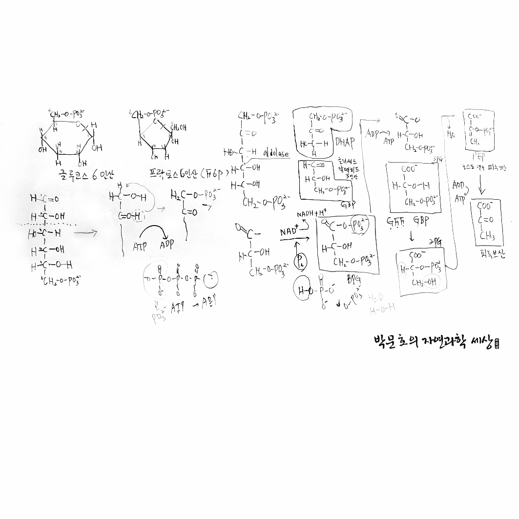 칠판필기합본.jpg