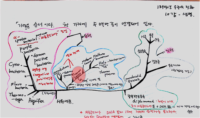 그림1.png