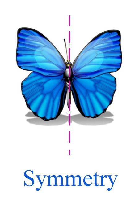 symmetry_edited-3.jpg
