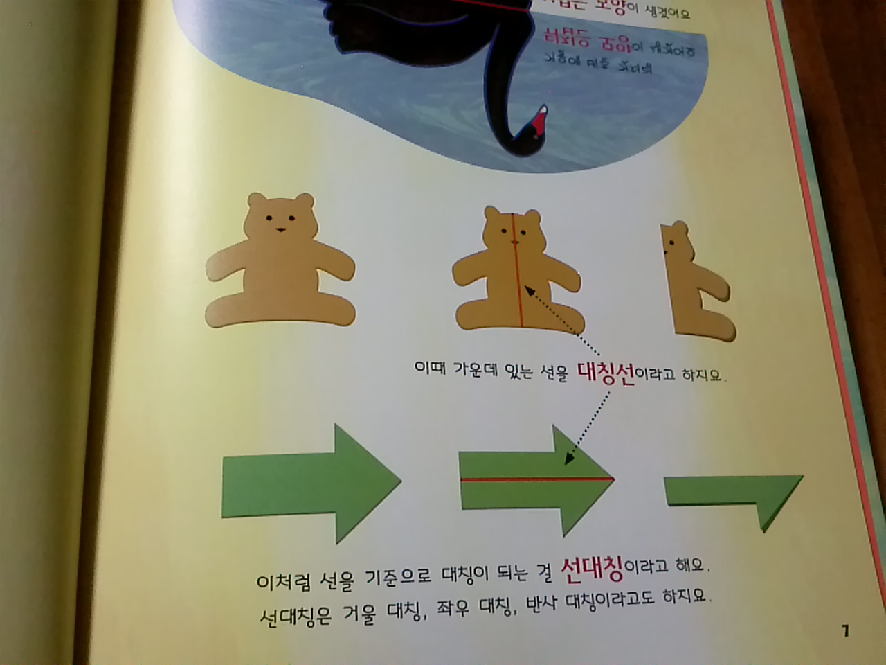 대칭.jpg