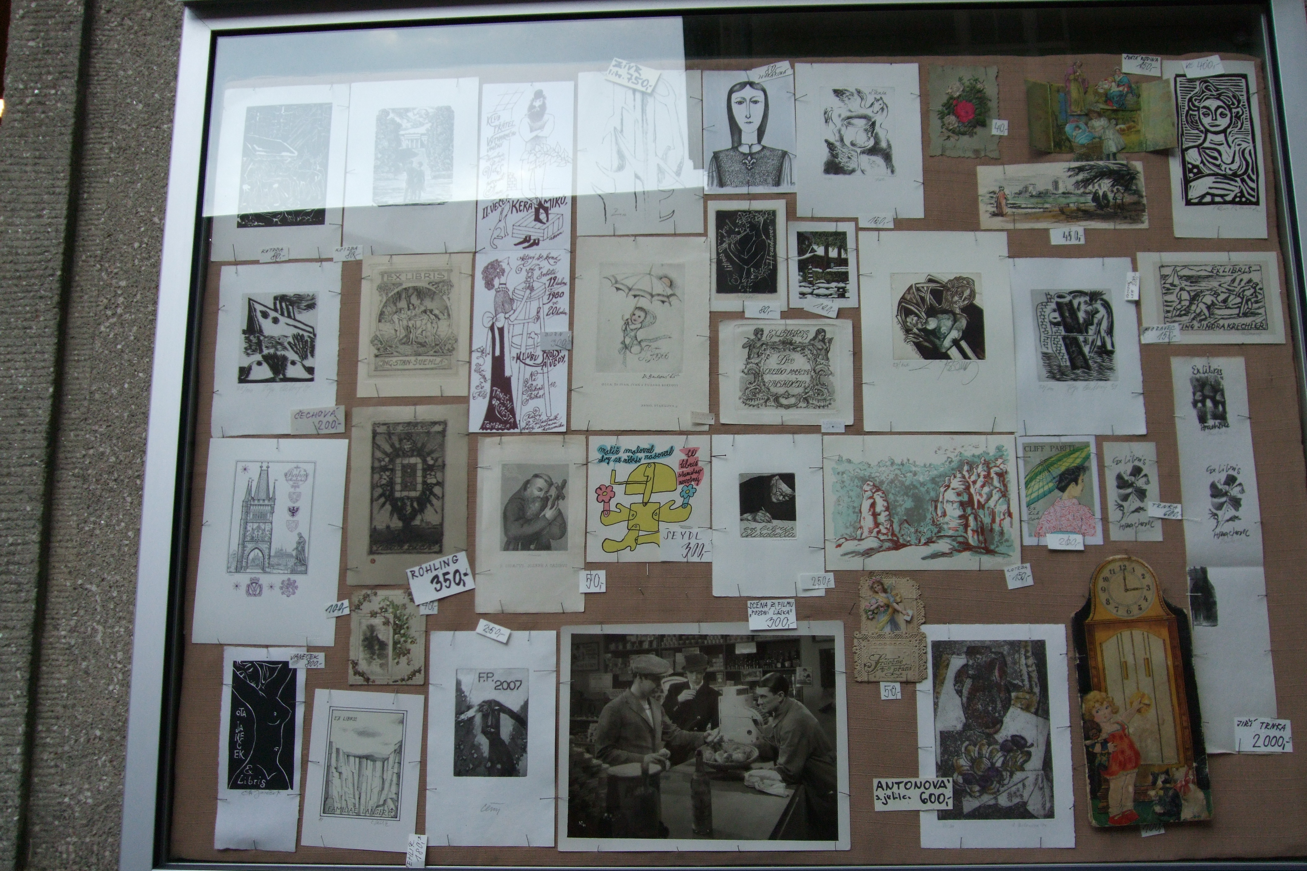 DSCF0523.JPG