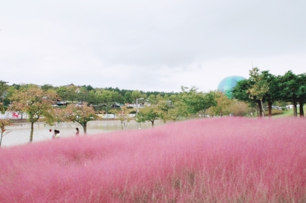 KakaoTalk_20191011_210401690.jpg