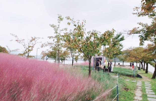 KakaoTalk_20191011_210402382.jpg