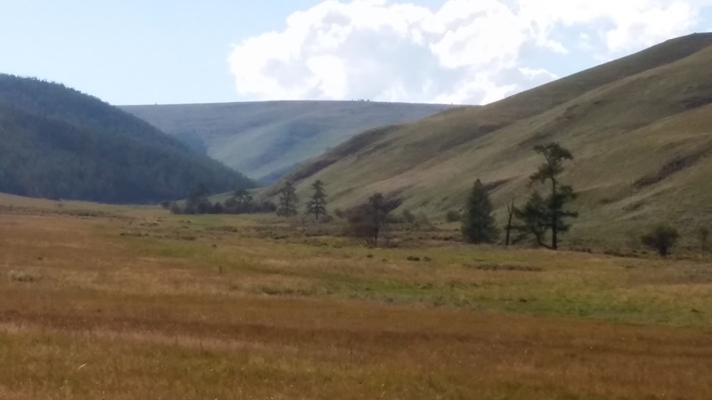 20160823_182607.jpg