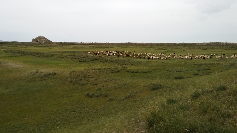 20160821_161655.jpg