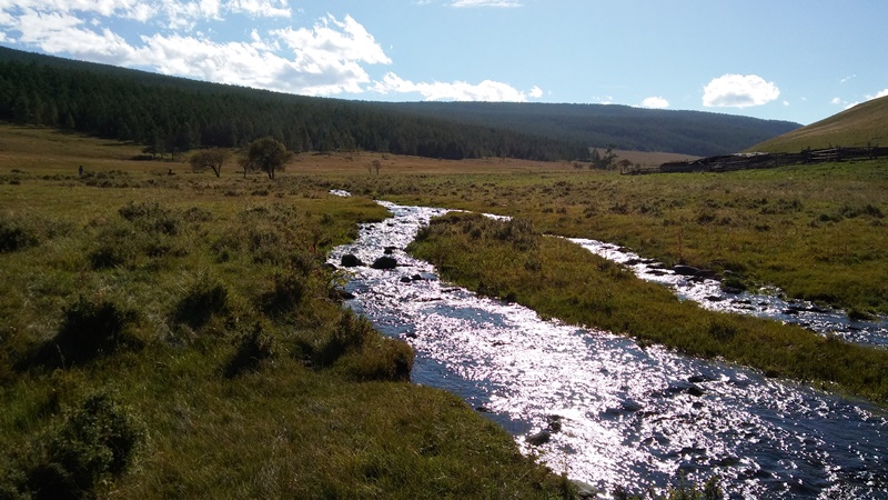 20160823_180654.jpg