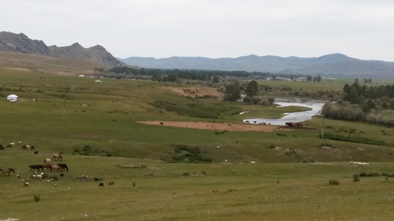 20160822_115546.jpg