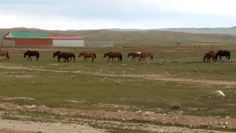 20160826_191141.jpg