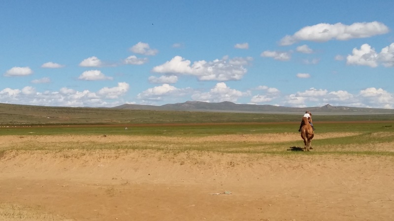 20160820_153045.jpg