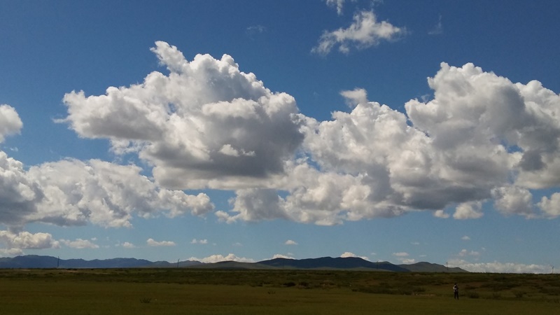 20160820_131356.jpg