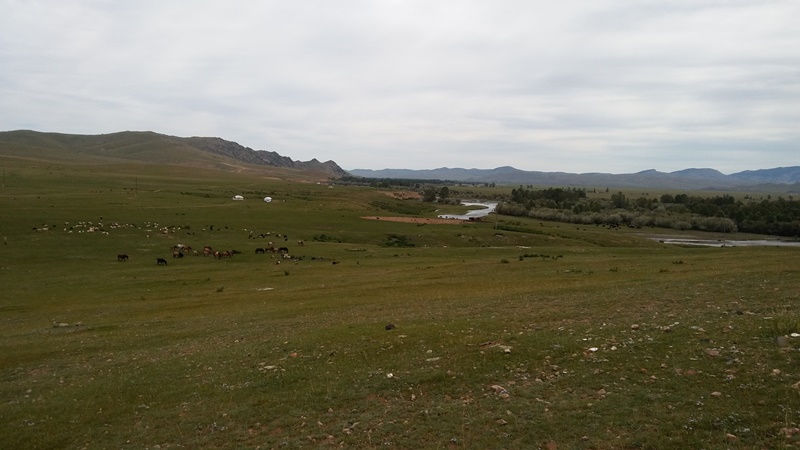 20160822_115540.jpg