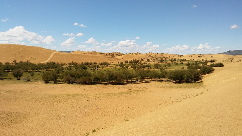20160820_153511.jpg