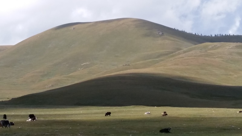 20160823_170509.jpg