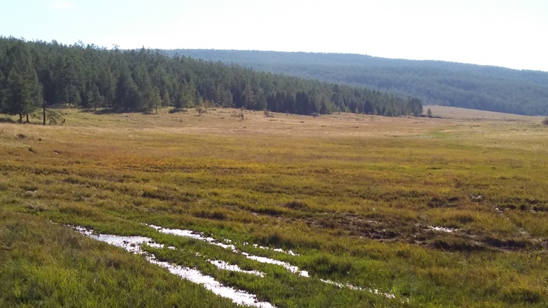 20160823_182227.jpg