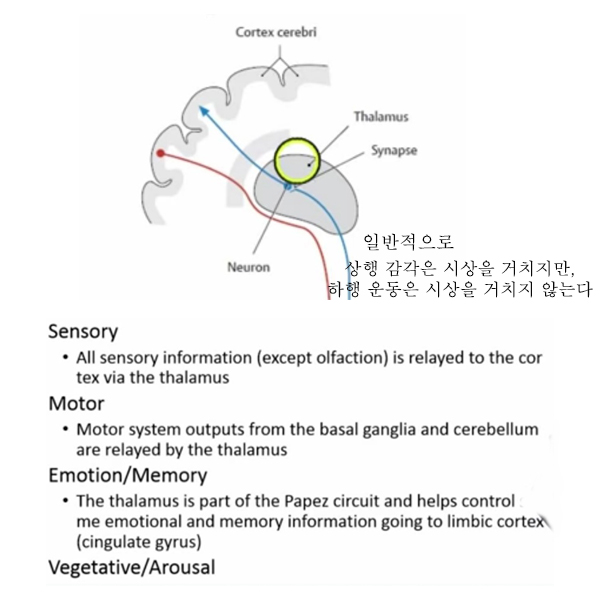 ㅅ0.jpg