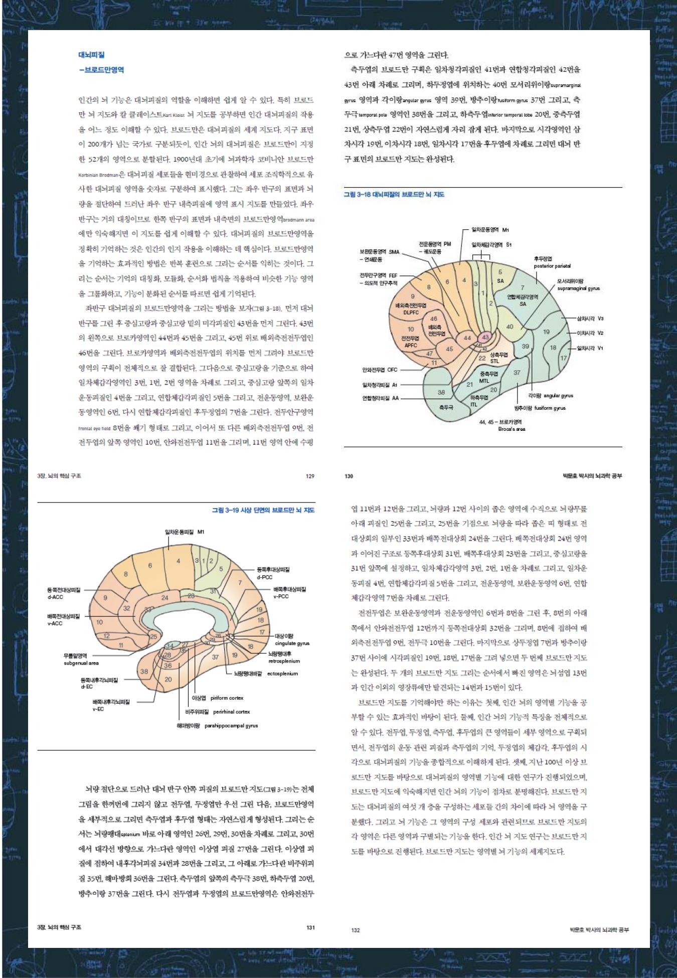 뇌과학공부_소개_07.jpg