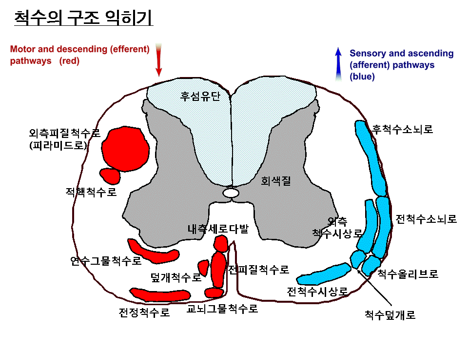 8.gif