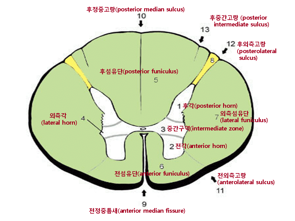 7.gif
