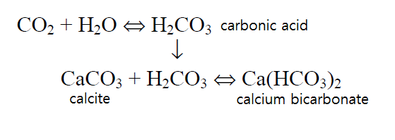 calcium bicarbonate.png