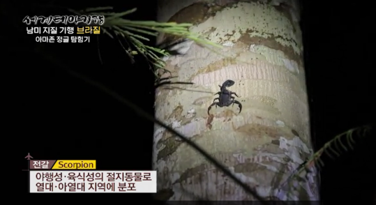 그림9.png