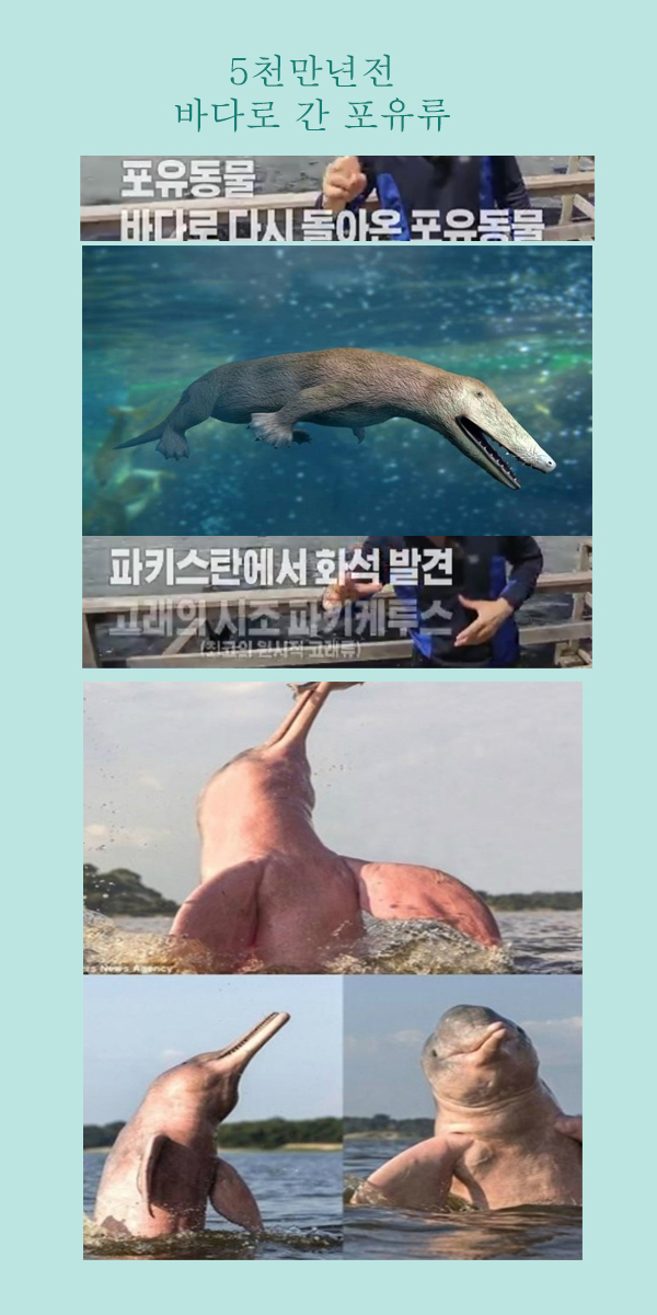 00.jpg