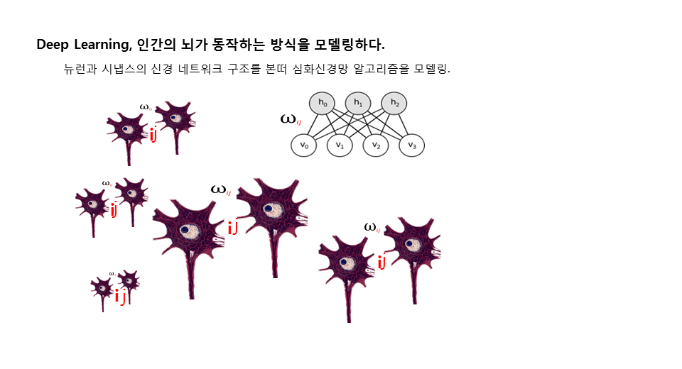 슬라이드11.PNG