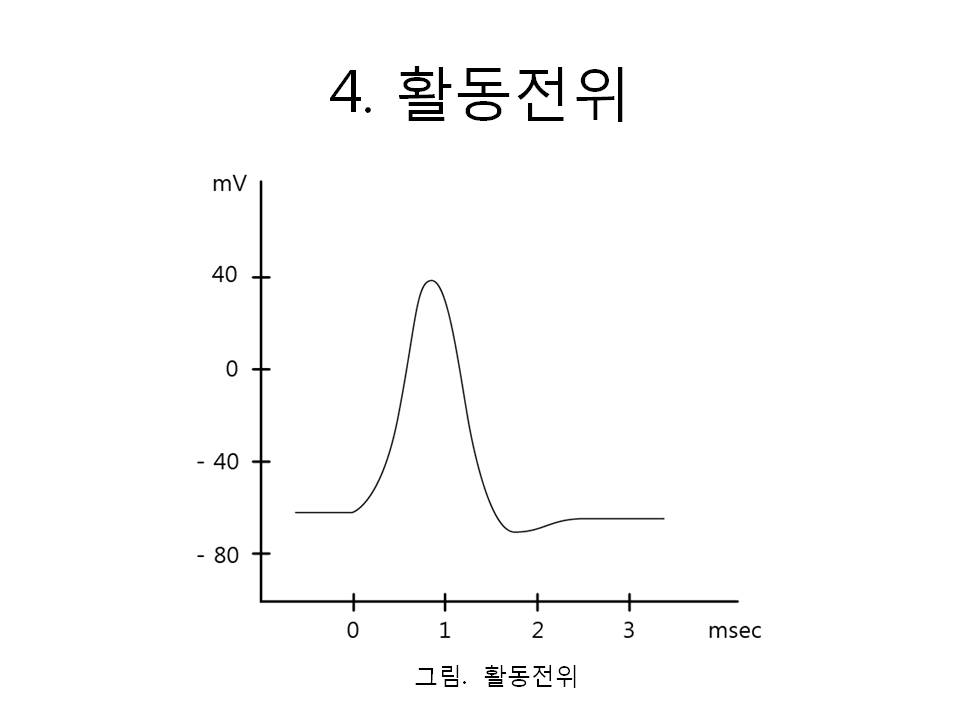 슬라이드19.JPG