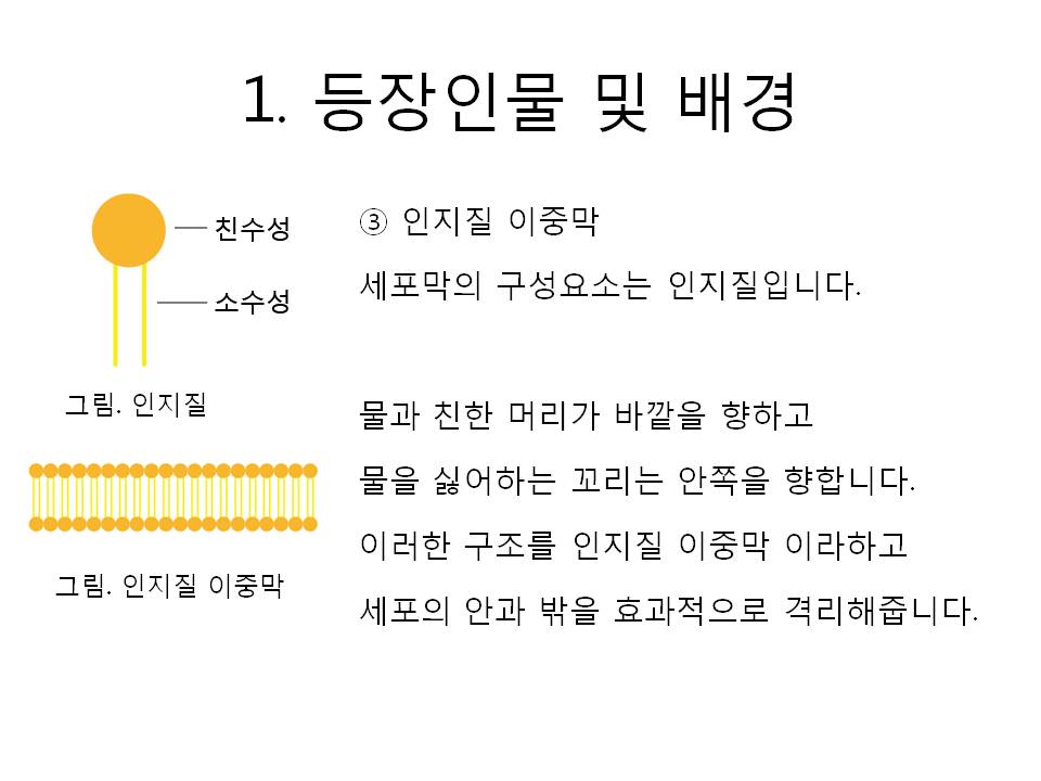 슬라이드8.JPG