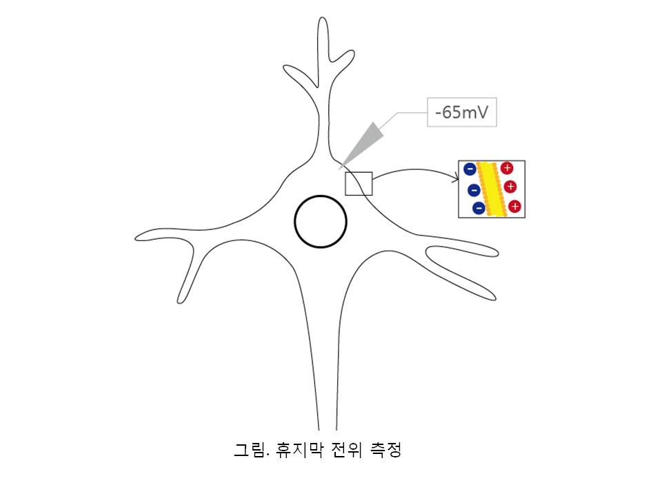 슬라이드3.JPG