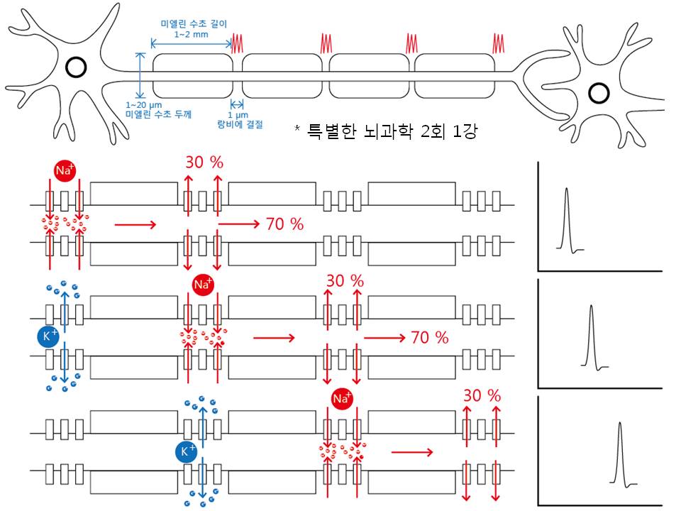 슬라이드22.JPG